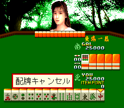 Sexy Idol Mahjong